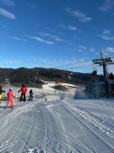 Fotografie z fotogalerie ubytování Całoroczne Domki Góralskie Kluszkowce-Czorsztyn v destinaci Kluszkowce