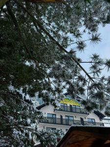 Galeriebild der Unterkunft Pensiunea Orzan in Moieciu de Sus