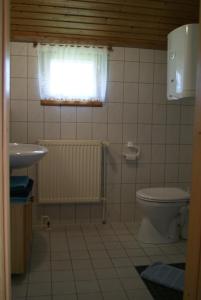 a bathroom with a toilet and a sink and a window at Landhof Kützin Ferienhaus Schwalbe 2 in Wulfskuhl