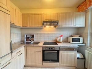 シリヒにあるWohnung 66のキッチン(木製キャビネット、シンク、電子レンジ付)