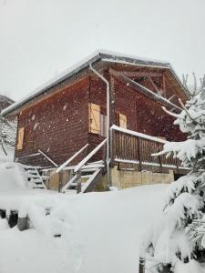 Chalet les Randonneurs spacieux 8 couchages v zimě