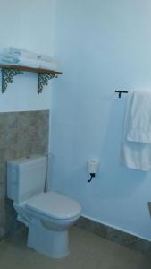 a bathroom with a white toilet and a blue wall at Glows in Jerusalem
