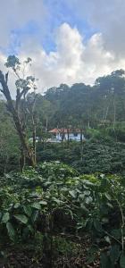 Fotografie z fotogalerie ubytování Vintara Homestay v destinaci Madikeri