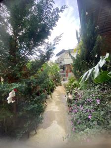 Zahrada ubytování Soul PnB Homestay