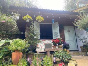 Zahrada ubytování Soul PnB Homestay