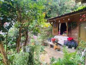 Zahrada ubytování Soul PnB Homestay