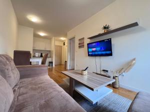 een woonkamer met een bank en een tv aan de muur bij Central Point • Apartment 59 in Podgorica