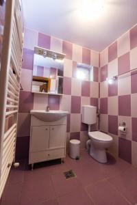 a bathroom with a sink and a toilet at Vilman House in Râşnov