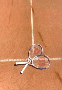 Tenis alebo squash v ubytovaní Villa Maier alebo jeho okolí