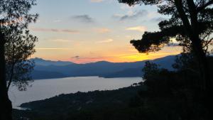 Príroda v okolí apartmánu + 9 fotografií