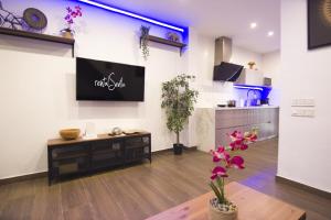 A television and/or entertainment centre at RentalSevilla Looks Pretty and modern