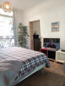 a bedroom with a bed and a flat screen tv at le balcon de Saint Roch in Montpellier