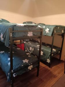 Voodi või voodid majutusasutuse Hostel JK toas