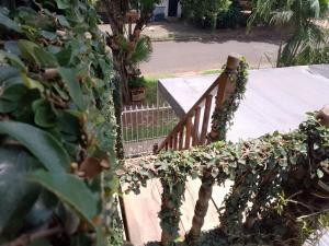 a wooden stairway with ivy growing on the railing at Apartment in Posadas in Posadas