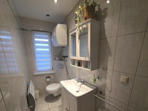 Un baño con lavabo, inodoro y espejo. en Kleiner Bungalow Wiesenperle, en Trassenheide