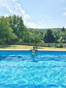 The swimming pool at or close to Villa Maier