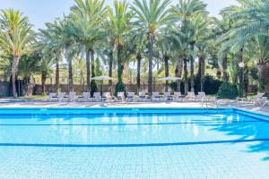 a swimming pool with chairs and palm trees at Port Jardín Milenio in Elche