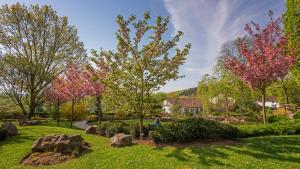 a garden with trees and rocks in a yard at Botanico Finkenrech Hotel&Restaurant in Eppelborn
