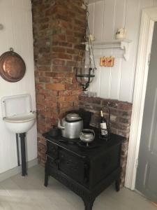 GravdalにあるVettingstua, beautiful house down by the sea.のキッチン(鍋、鍋、コンロ付)