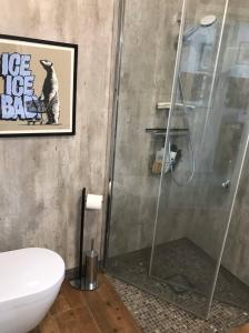 a bathroom with a shower with a toilet and a sink at Amazing waterfront rorbu (free car-charging) in Stamsund +12 photos