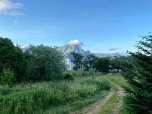 a dirt road with a house and mountains in the background at Northern Light Cabin Lofoten in Sennesvik