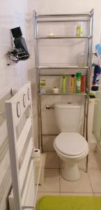 a bathroom with a toilet with a shelf above it at Appartement cosy à Saint-Mamet - 36 m² - Vue montagne in Saint-Mamet +4 photos