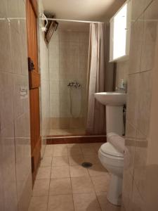 a bathroom with a toilet and a shower and a sink at Villa Orestis in Archanes