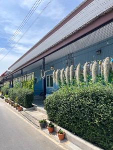 奈扬海滩Yada House s&s的蓝色的建筑,在它的侧面有植物