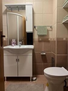 a bathroom with a sink and a toilet and a mirror at Kupres Apartman555 in Kupres