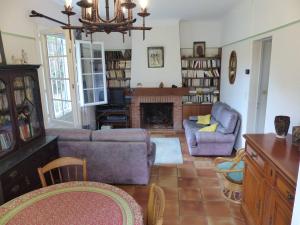salon z kanapą i kominkiem w obiekcie Villa LA TEIGNOUSE entre lac et océan terrasse et jardinet pour 6 personnes w mieście Soorts-Hossegor