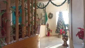 Fotografie z fotogalerie ubytování Hotel Yahalis v destinaci Jilotepec de Abasolo