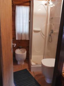 a bathroom with a shower and a toilet and a sink at L'Amabile Geko in Rio Marina