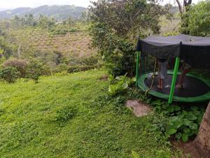 Aed väljaspool majutusasutust Casa Entera Finca Cometa