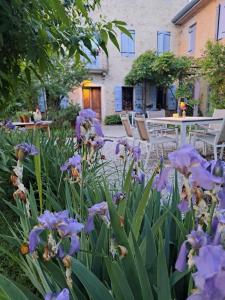 Refrontolo卡萨德塞焦旅馆的一座种有紫色花卉和桌椅的花园