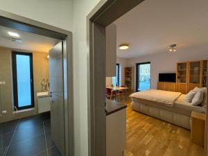 TV a/nebo společenská místnost v ubytování Apartmán Rotterovka -Ski Resort Herlíkovice & Bubákov