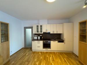 Kuchyň nebo kuchyňský kout v ubytování Apartmán Rotterovka -Ski Resort Herlíkovice & Bubákov