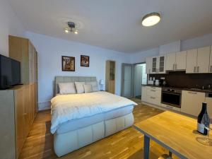 Kuchyň nebo kuchyňský kout v ubytování Apartmán Rotterovka -Ski Resort Herlíkovice & Bubákov