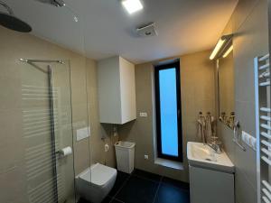 Koupelna v ubytování Apartmán Rotterovka -Ski Resort Herlíkovice & Bubákov
