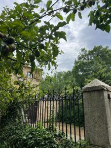 Zahrada ubytování Palacio de los Alvarado en Las Merindades