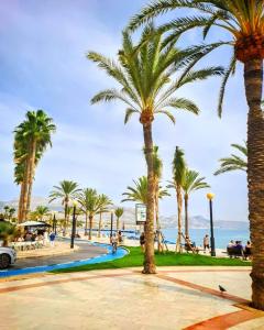 a group of palm trees in a park next to the ocean at Casa Marie - Albir in Albir