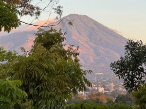 a mountain in the distance with a city and a tree at La Bella Suite in San Salvador