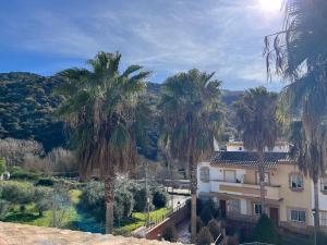 Un edificio con palmeras delante. en La Escapadita, en Benaoján