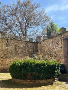 Fotografie z fotogalerie ubytování Palacio de los Alvarado en Las Merindades v destinaci El Ribero