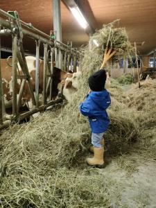 Otroci med bivanjem v nastanitvi Ausblickhof Geiger