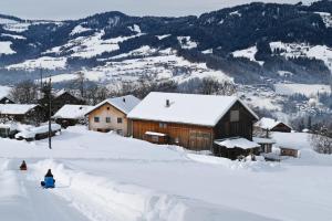 Ausblickhof Geiger pozimi