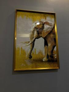 Zvířata v apartmánu nebo okolí