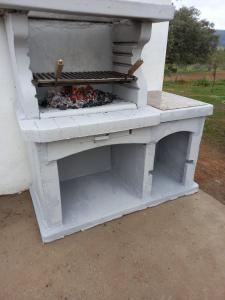 Sprzęt do grillowania in the country house