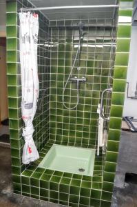 a green tiled bathroom with a shower in it at Maison enchanteur à Berrwiller avec jardin paisible in Berrwiller