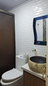 a bathroom with a toilet and a bowl sink at Villa Irina in Silvania +18 photos