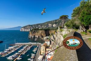 una vista di un porto con barche in acqua di B&B L'Approdo a Piano di Sorrento